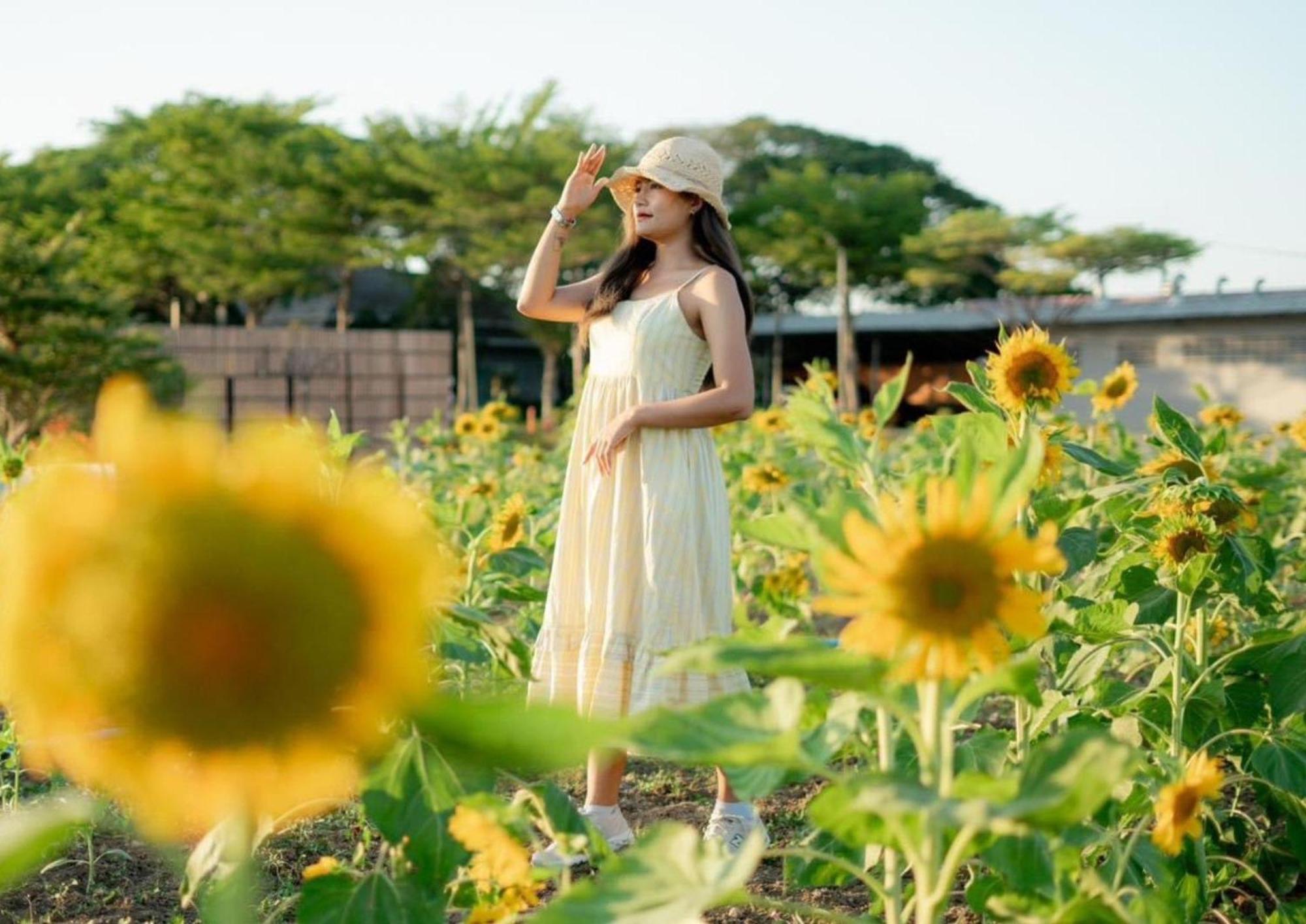 The Cavalli Casa Resort Phra Nakhon Si Ayutthaya Luaran gambar